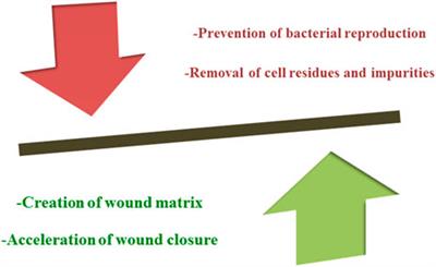 Nanomaterials Versus The Microbial Compounds With Wound Healing Property